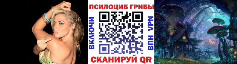 Псилоцибиновые грибы мицелий  купить закладку  Белинский 